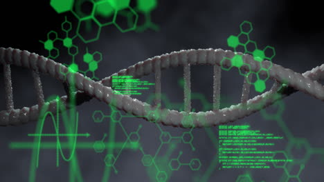 Animation-of-dna-rotating-over-chemical-formulas-and-data-processing-on-grey-background