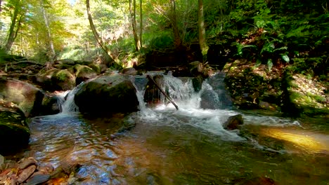 Video-En-Cámara-Lenta-De-Un-Arroyo-Tranquilo-En-Un-Entorno-Boscoso