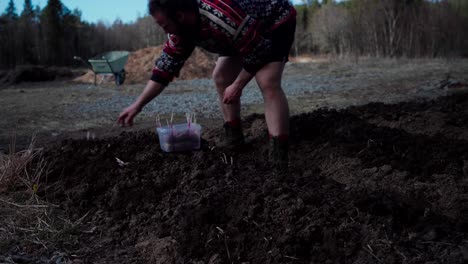 a man in the garden with cultivated soil planting root crops