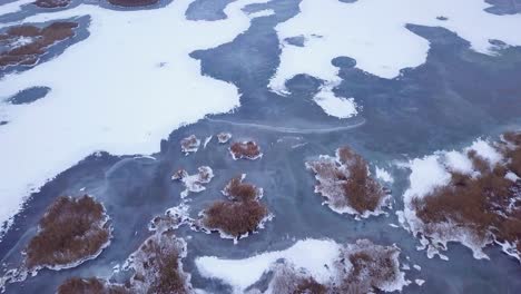 vista aérea de pájaro del lago congelado liepaja durante el invierno, hielo azul con grietas, islas secas de juncos amarillentos, día de invierno nublado, amplio tiro de drones moviéndose hacia atrás alto