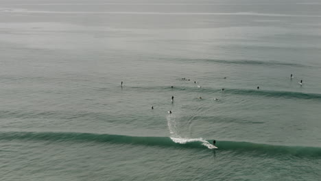 surfers off the coast of california, near san diego, catch some waves on a sunday