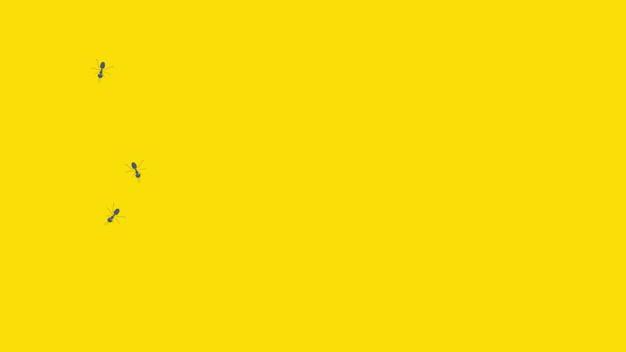 colonia de pequeñas hormigas animación