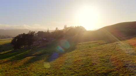 dazzling sun during summer shining over the green mountain hills and trees