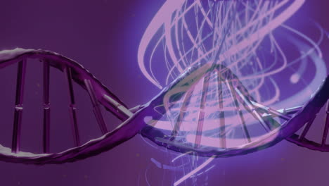 dna strand with animation and abstract light patterns on purple background
