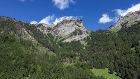 majestic peaks, aerial view of green forest and mountains