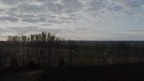 Vista-Aérea-De-Siluetas-De-árboles-Otoñales-Y-Campos-Cultivados,-En-El-Campo-De-Inglaterra