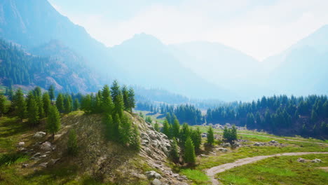 Sinuoso-Camino-De-Montaña-Sobre-Prados-Alpinos-Al-Borde-Del-Bosque