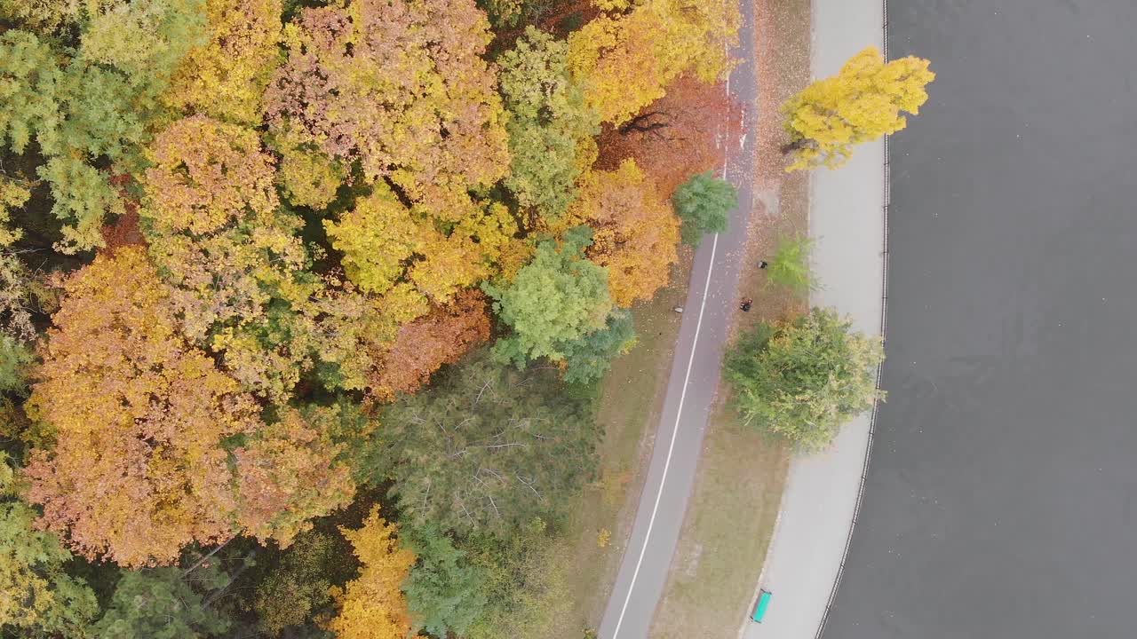Aerial View of Autumn Trees, Road, and Water