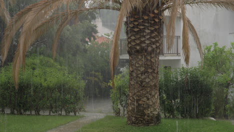 Heavy-summer-rain-pouring