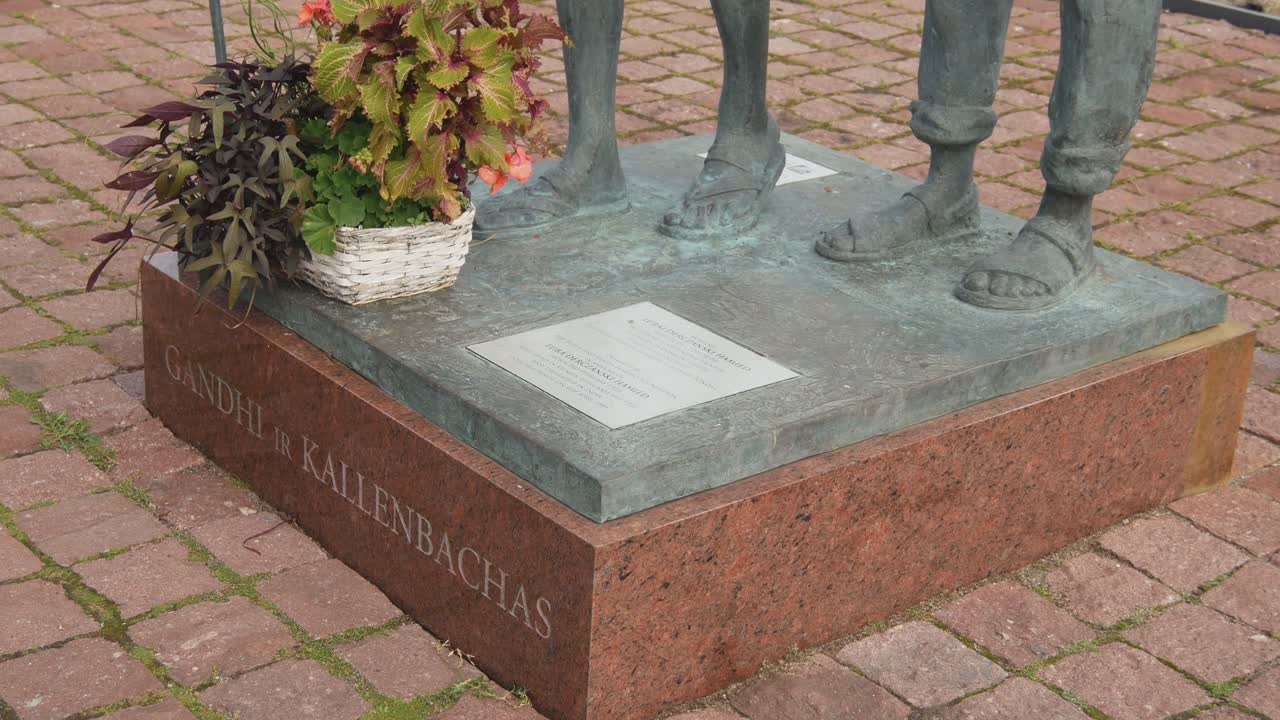 махатма ганди и д-р