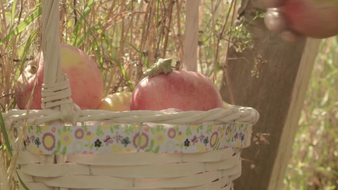 Mano che riempie un cesto con frutta sana come mela e banana in una scena rurale