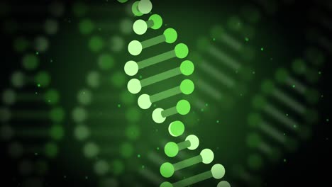 animación de la cadena de adn y procesamiento de datos en fondo verde