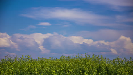 blue sky with clouds rolling over green fields in summer