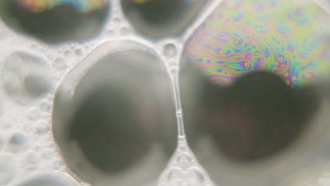 Macro-shot-of-a-current-with-rainbow-colors-on-cell-like-structure