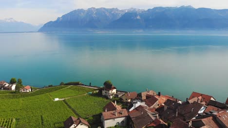 aerial drone captures townscape by calm lake during daytime in switzerland, with scenic views of serene water and picturesque surroundings illuminated by natural daylight