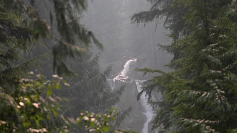 wide shot of a waterfall between tree branches in 4k at 60fps