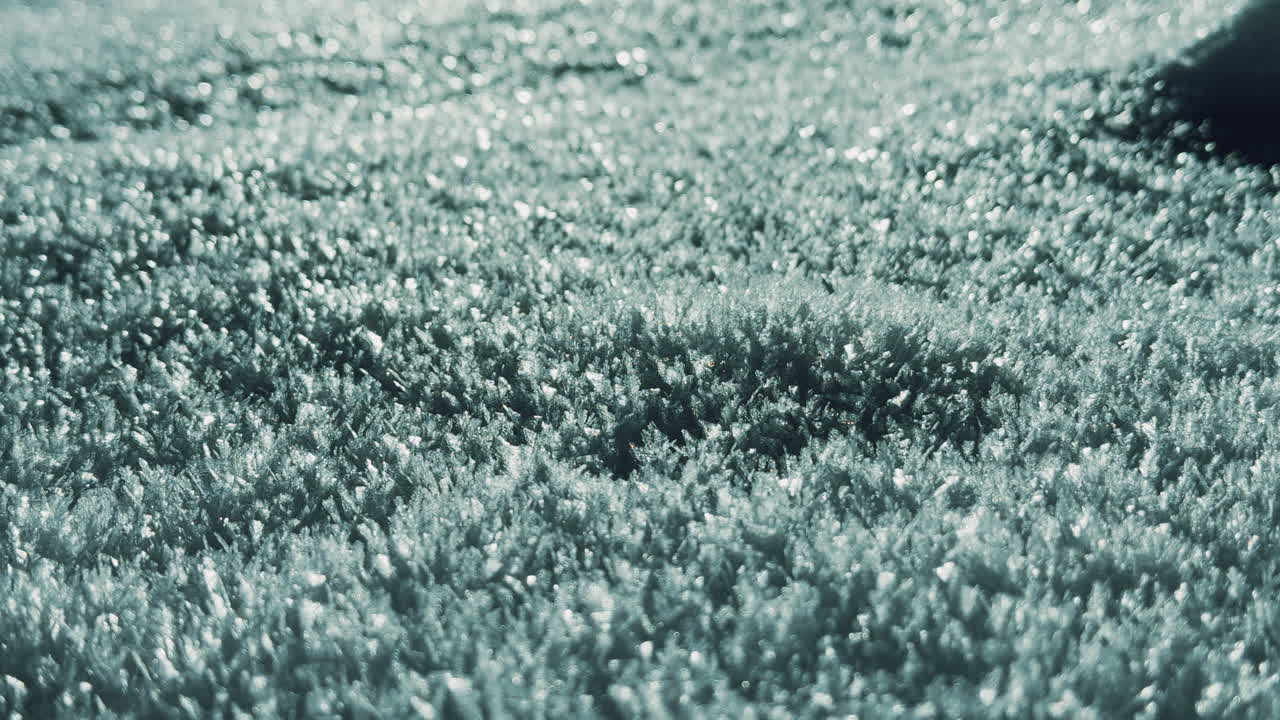 Close-up view of frost-covered ground