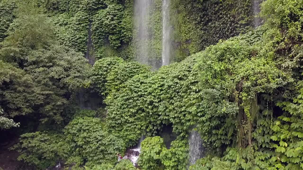 Waterfall water curtain overgrown green walls
