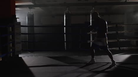 boxer training in the ring