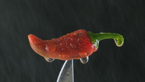 close up of red chili pepper sticked to knife blade with water droplets falling