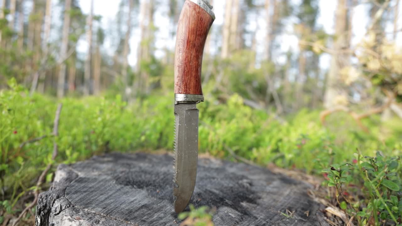 cuchillo de caza en el tronco en el bosque