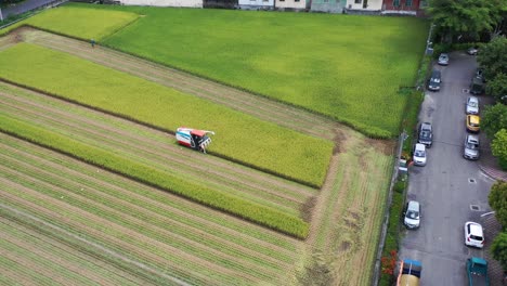 aerial drone footage cultivated rice paddy field, farmer harvesting the crops with multifunctional paddy harvesting machine rice harvester tractor at doliu yunlin taiwan