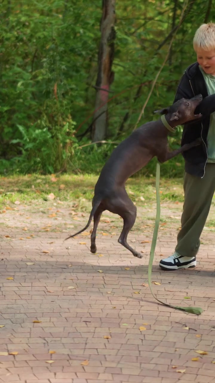 Un niño caucásico con pantalones verde claro interactúa de cerca. El cachorro se mantiene enérgico mientras es sostenido por el joven. Sendero pavimentado al aire libre rodeado por una densa zona boscosa