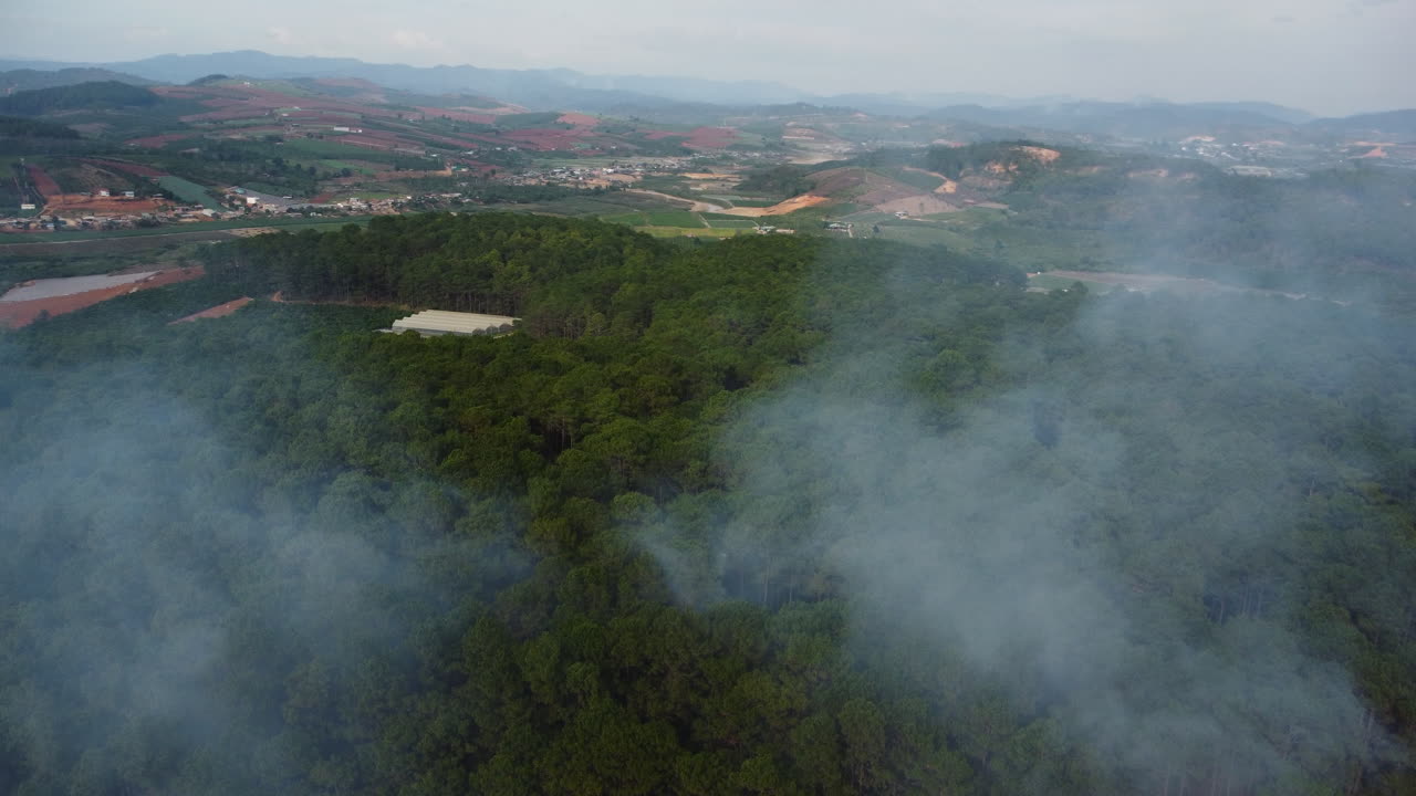 vista panorámica aérea del humo del bosque de pinos