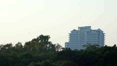 Vista-De-Un-Edificio-Blanco-Y-Pájaros-Volando-Durante-La-Puesta-De-Sol