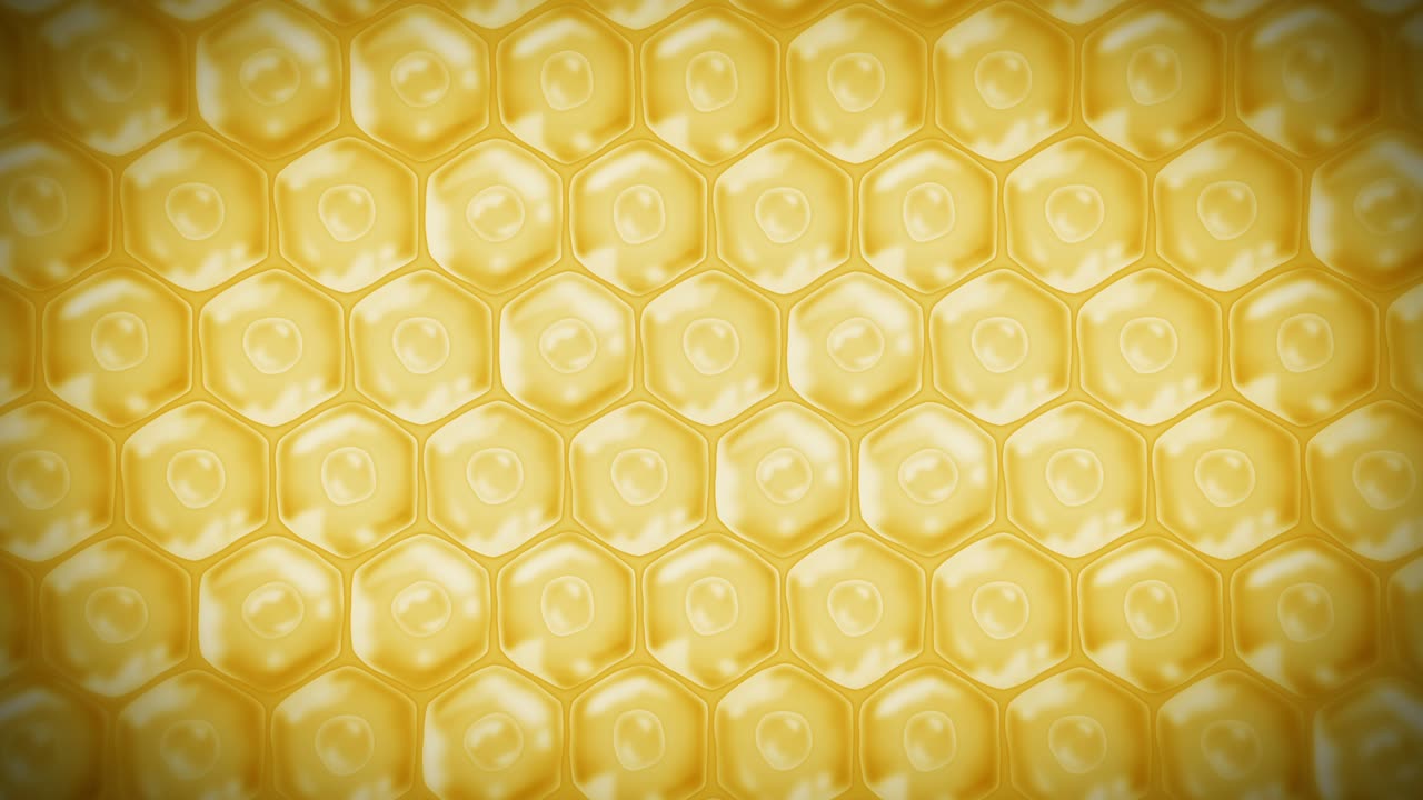 인간 피부 세포: 세포막을 가진 각 세포, 세포 치료, 질병 치료, 핵과 진공, 재생, 루프 애니메이션