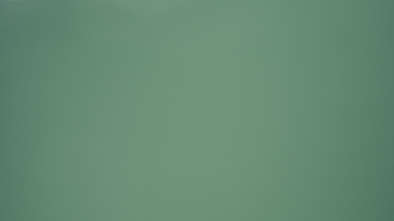 Tropical beach with palm trees and people