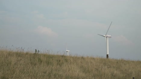 two white windmills besides a green dyke in zeeland, holland, 4k, uhd.