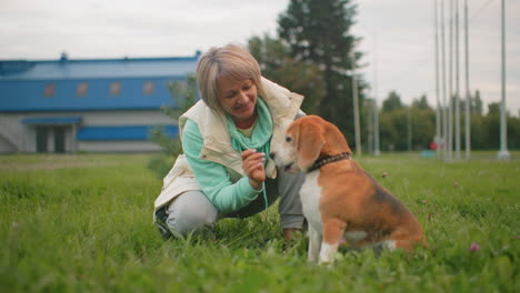 joyful canine specialist in light jacket and mint green hoodie kneeling on grassy field feeding happy bulldog near modern buildings under cloudy sky, building strong bond through outdoor interaction