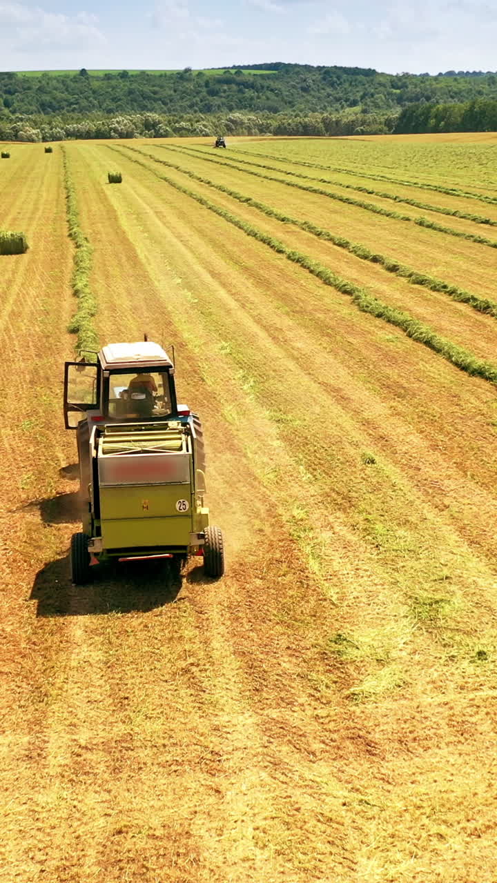 Tractor rides on a field in summer. Agricultural machinery collects dried grass to feed livestock in winter outdoors. Aerial drone shot. Vertical video