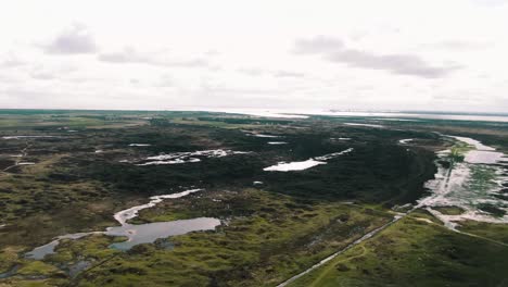 Feuchtgebiete-Mit-Grünen-Wiesen-Im-Naturschutzgebiet-De-Slufter-Auf-Texel,-Holland,-Niederlande