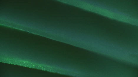 Hochdetaillierter-Mikroskopclip-Von-Sporen-In-Einem-Pilz