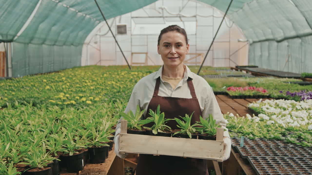 Woman with Wooden Crate of Plants in Greenhouse