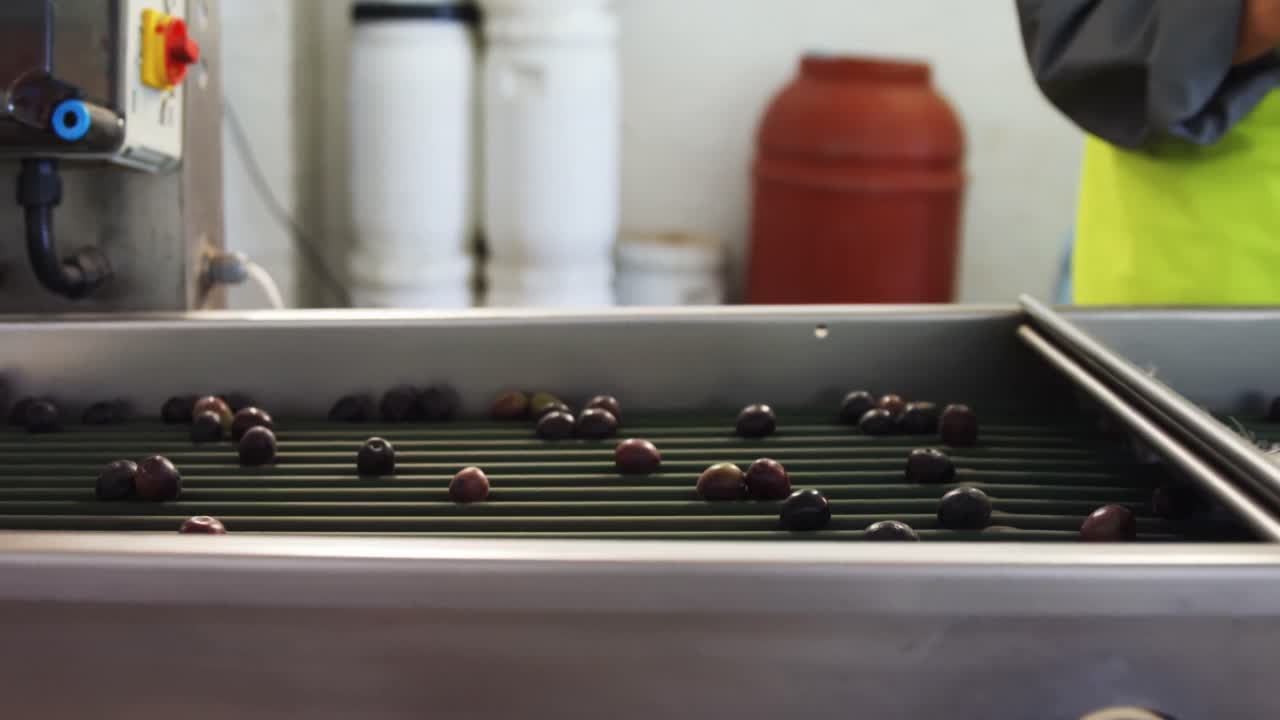 Female worker writing on clipboard in olive factory 4k