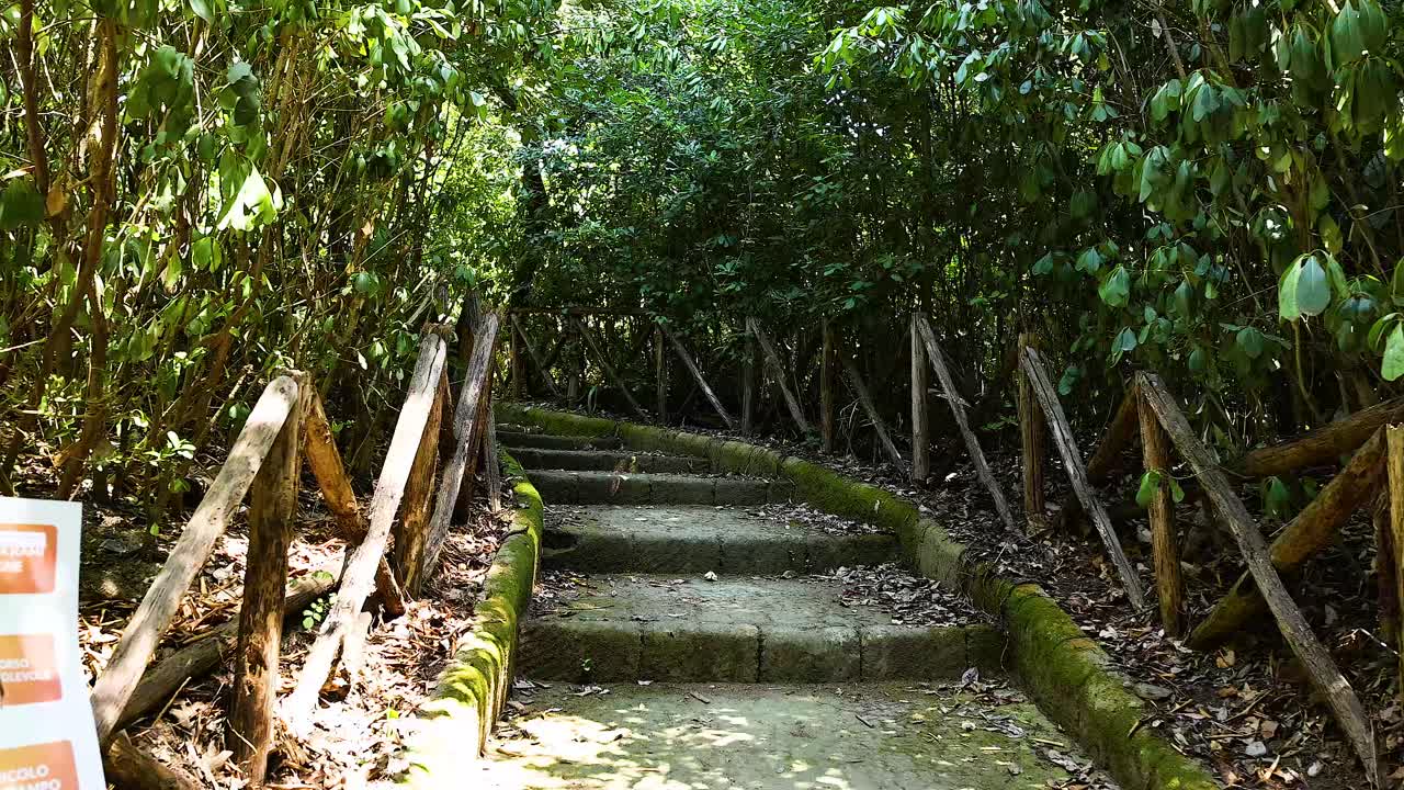 울창한 숲의 초록색을 가로질러 돌로 된 계단