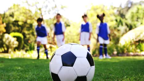 close-up of football in park