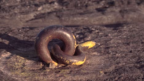 a steel chain twisted into a granite stone
