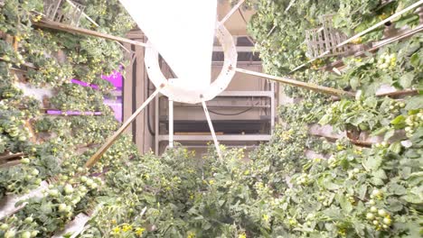 Close-up-of-a-cylinder-with-growing-plants