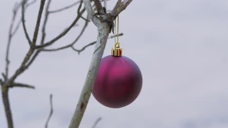 Mujer-Joven-Decora-Las-Ramas-De-Los-árboles-Con-Adornos-Navideños,-Bola-Roja-De-Navidad,-Al-Aire-Libre,-Día-Nublado,-Tiro-Medio-De-Mano