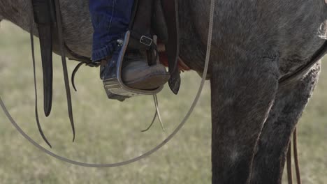 a close up of a rancher's boot in his horse's stirrup