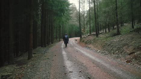 man with a backpack walks along a forest path in gloomy weather