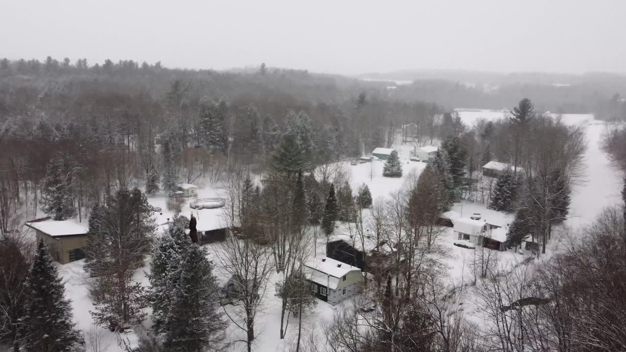 Eagle bird flying over winter nature forest landscape snowfall snow covered Canada