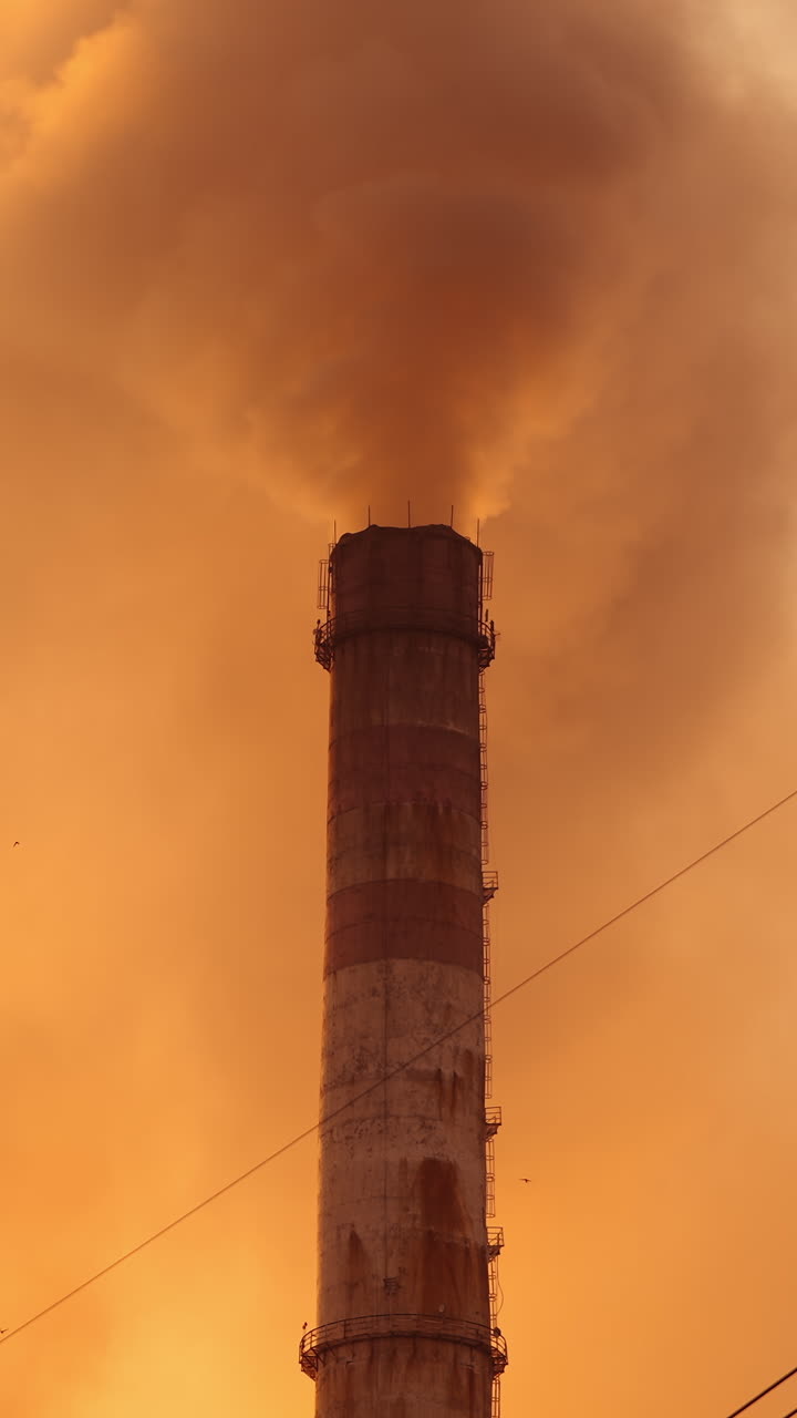 Aerial shot of rape seed field. Aerial view of beautiful rural landscape with blooming fields