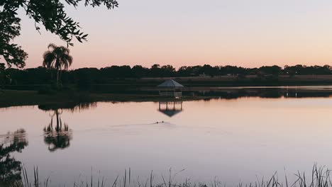 peaceful lakeside gazebo at sunrise/sunset