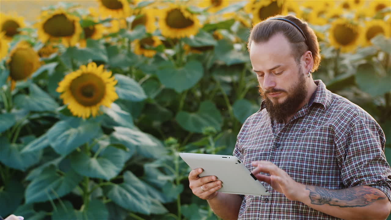 Contadini lavorano vicino a un campo di girasoli in fiore 4