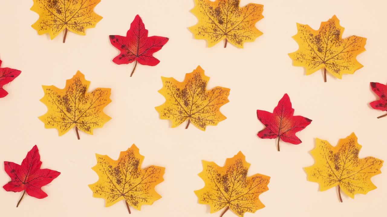 Autumn pattern made of yellow and red leaves dancing on beige background. Stop motion